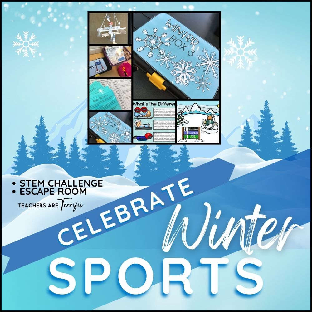 Fun Ways to Celebrate Winter Sports