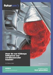 How do our kidneys influence our cardiovascular health?