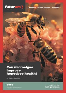 Can microalgae improve honeybee health?